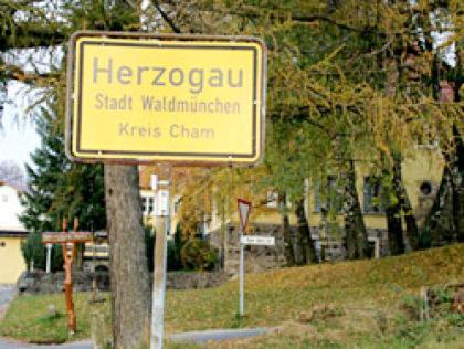 Ferienwohnung Schoenblick Waldmuenchen Luaran gambar