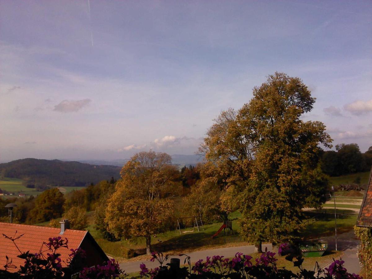 Ferienwohnung Schoenblick Waldmuenchen Luaran gambar